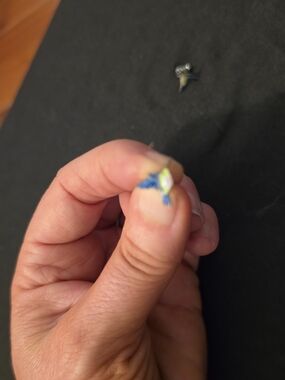Blue and Lime Tiny Bird Stud Earrings